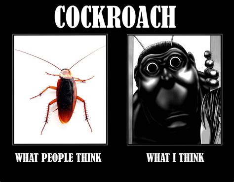 cockroach | Terra formars, Anime, Fantasy characters