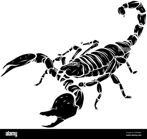 black silhouette vector Scorpion tattoo - ornate exquisite scorpion ...