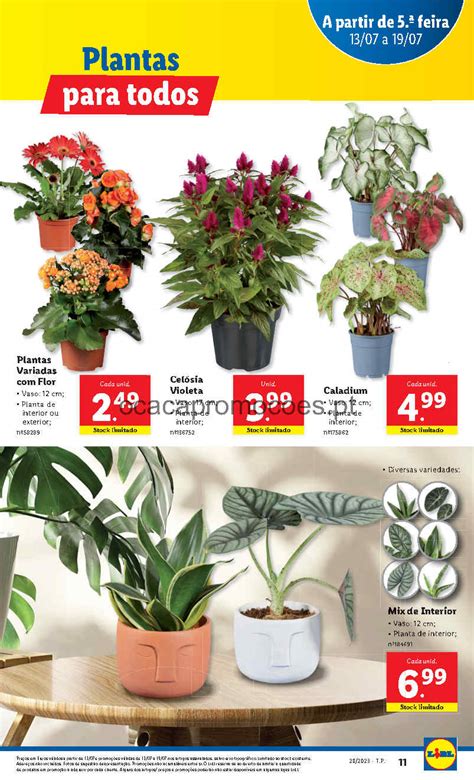 Antevisão Folheto LIDL BAZAR Flores Promoções 13 julho a 19 julho O