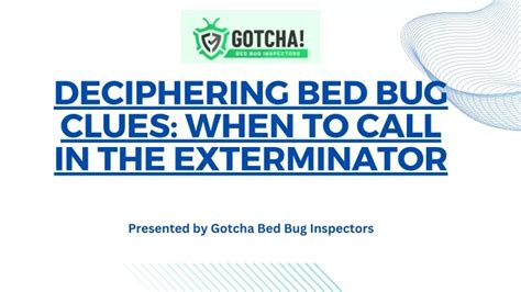 Ppt Deciphering Bed Bug Clues When To Call In The Exterminator