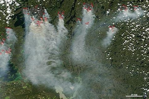 NASA satellites capture southward drifting smoke of Canadian forest ...