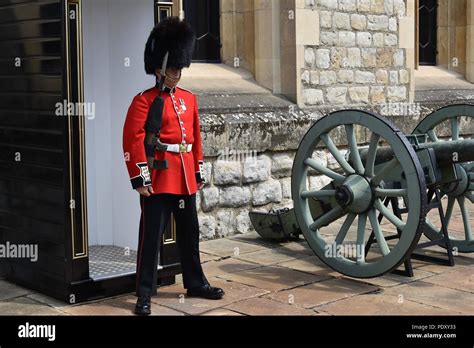 The Iconic Queens Guard At Buckingham Palace And The Tower Of London