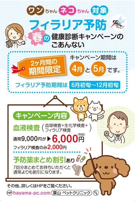 新規動物病院のダイレクトメール 春の健康診断 フィラリア予防の依頼・外注 封筒・はがきデザインの仕事・副業 【クラウドソーシング