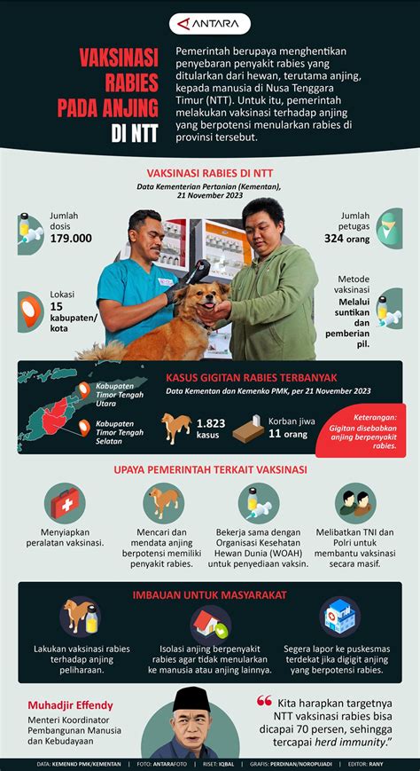 Vaksinasi Rabies Pada Anjing Di Ntt Infografik Antara News