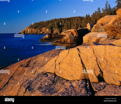 Atlantic Coastline Mount Desert Island Acadia National Park Maine