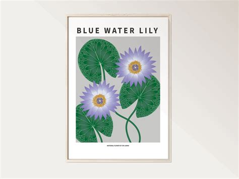 Blue Water Lily National Flower Of Sri Lanka Art Print Modern