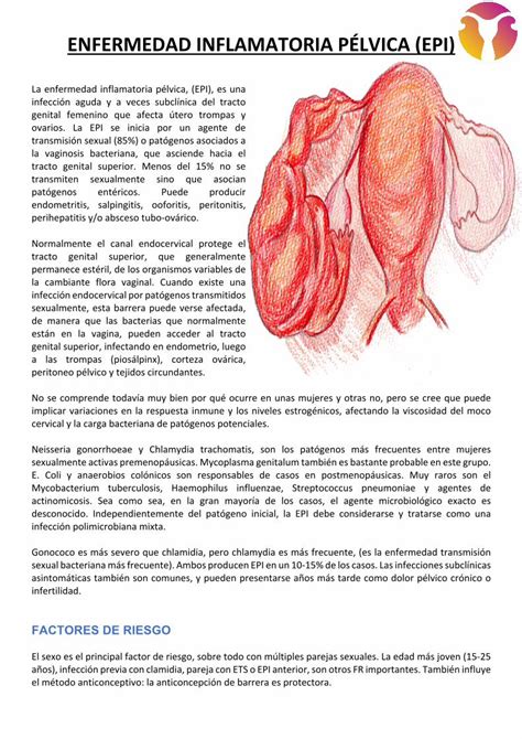 Pdf Enfermedad Inflamatoria P Lvica Epi Dokumen Tips