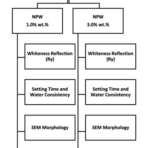 Scientific Framework For Instrumental And Experimental Program