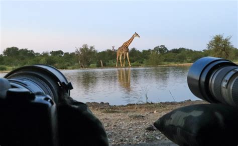 Kenya Travel Tips and Advice to know Before you Go | Kenya Safaris