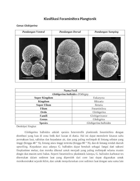 DOCX Klasifikasi Foraminifera Plangtonik Doc DOKUMEN TIPS