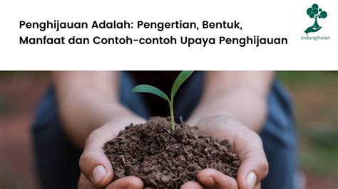 Penghijauan Adalah Pengertian Bentuk Dan Manfaat Penghijauan 2022