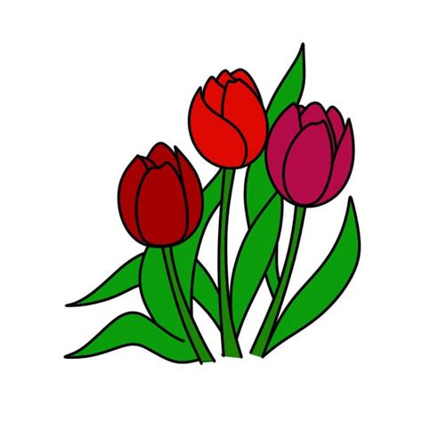 Semplici Disegni Di Tulipani