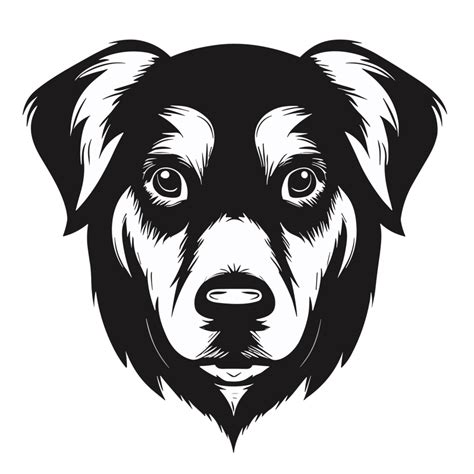 Dog face transparent background,Ai generative 27434049 PNG