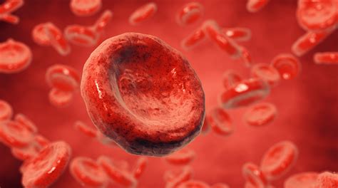 Cell death: how does our body tidy up dead cells to prevent blood clots?