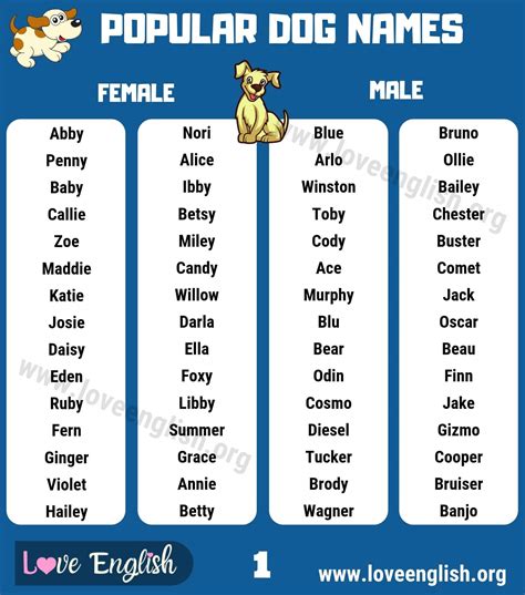 Dog Names: 120 Most Popular Male and Female Dog Names - Love English