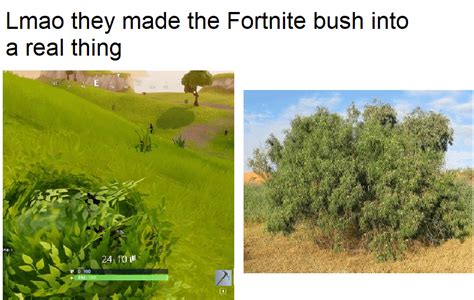 Bush campers IRL! : r/memes