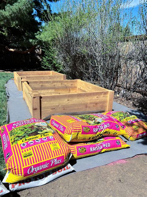 What Should I Fill My Raised Garden Bed With Grow Beauty With Ease