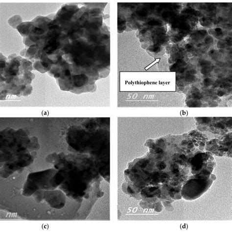 Field Emission Scanning Electron Microscopy Fesem Before Adsorption