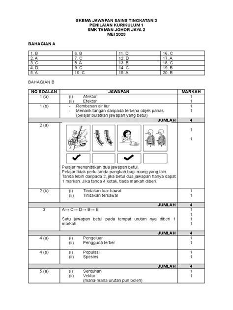 Skema Jawapan Sains Tingkatan 3 Pdf