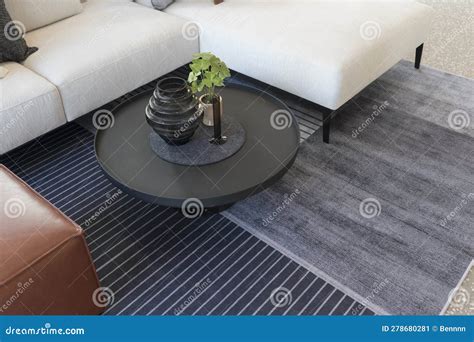 Modern Living Room with Black and White Carpet, Close Up. Stock Image ...