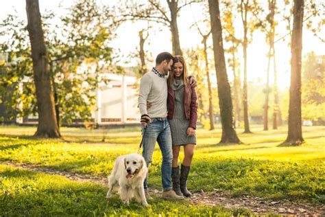 couple-walking-dog-park - Discover Healing