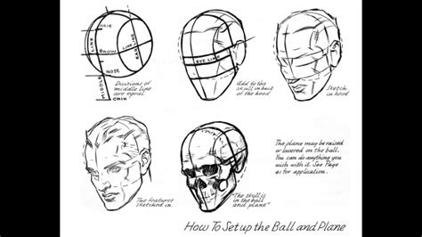 Loomis Method Head Perspective كيفية رسم راس الإنسان بطريقة لوميس