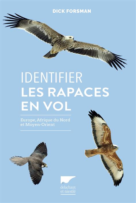 Amazon In Buy Identifier Les Rapaces En Vol Europe Afrique Du Nord Et