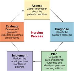 Nursing School Clinicals Nursing Schools What Is Nursing Image F