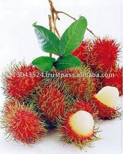 Fresh Rambutan Productsthailand Fresh Rambutan Supplier