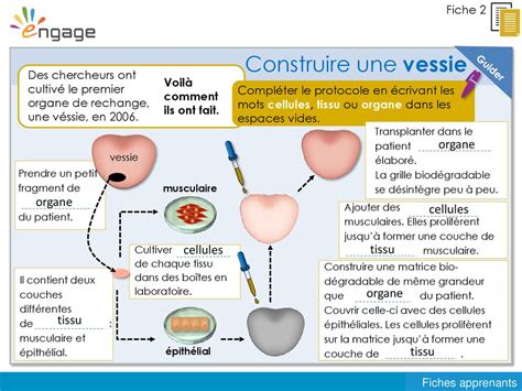 Reconstruis Ton Propre Corps Ppt T L Charger