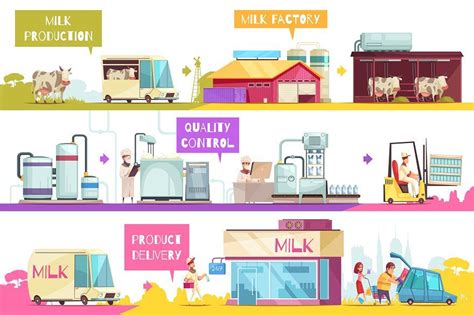 Milk production infographics | Milk production, Photographer business ...