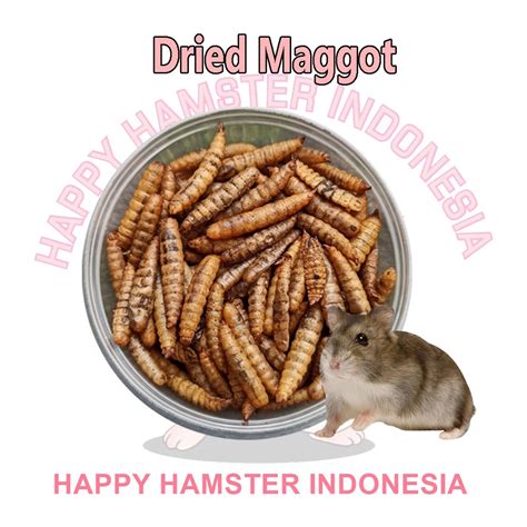 Jual Snack Hamster Sugarglider Koi Burung Landak Mini Dried Maggot