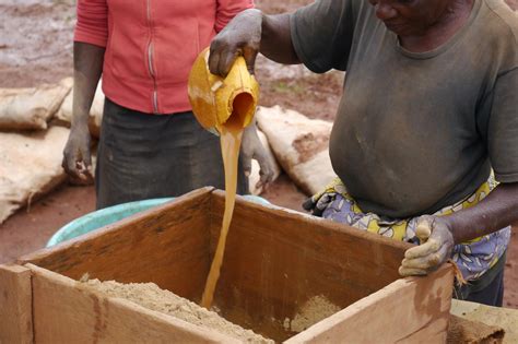 Guinea Moves To Transform Its Artisanal And Small Scale Gold Mining Sector