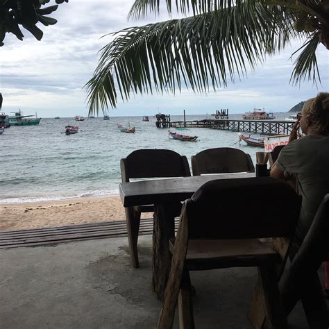 Coconut Monkey Koh Tao Living Nomads Travel Tips Guides News