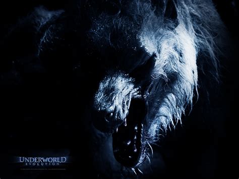 Underworld 2 Evolution le film.