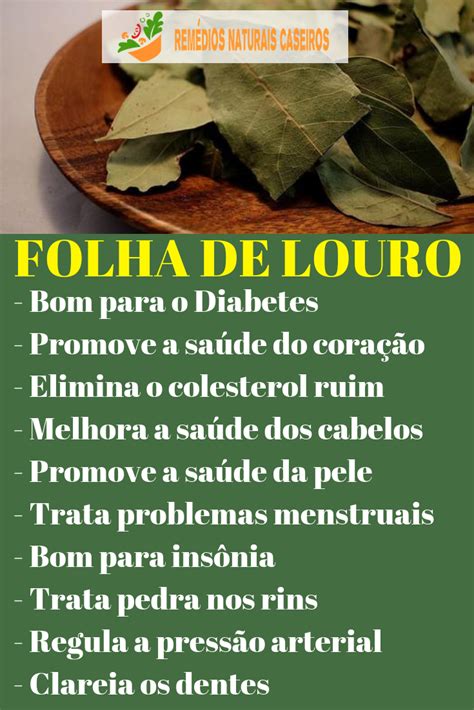 Folha de Louro Benefícios Natural health tips Health tips Health