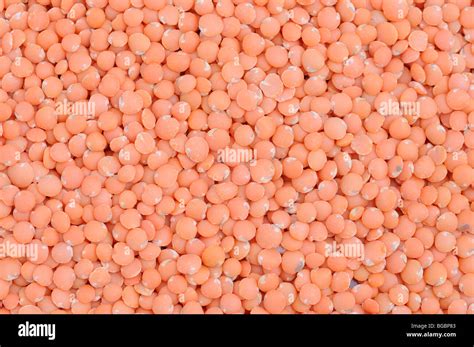 Red Split Lentils Background Stock Photo Alamy