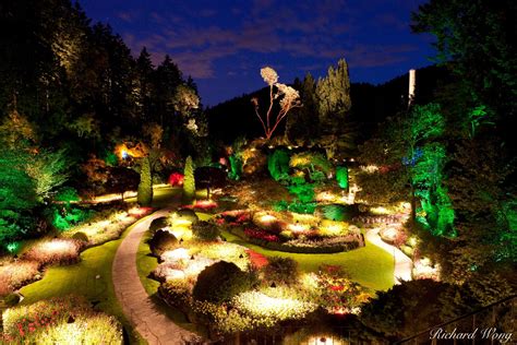 The Butchart Gardens at Night Photo | Richard Wong Photography