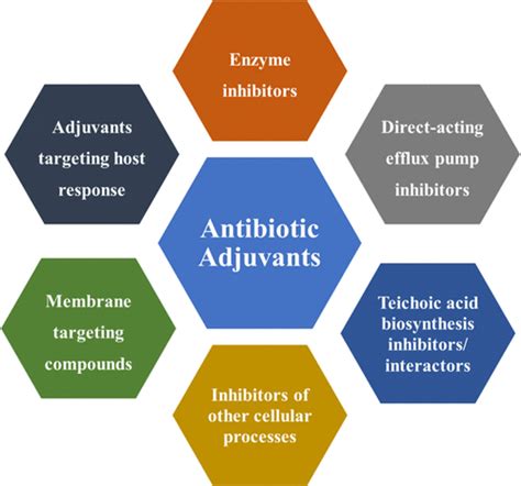 Antibiotic Adjuvants A Versatile Approach To Combat Antibiotic