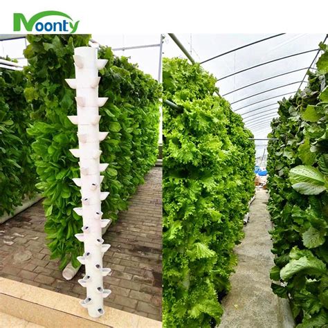 Rooftop Vertical Tower Grow Hydroponics For Microgreenslettuce