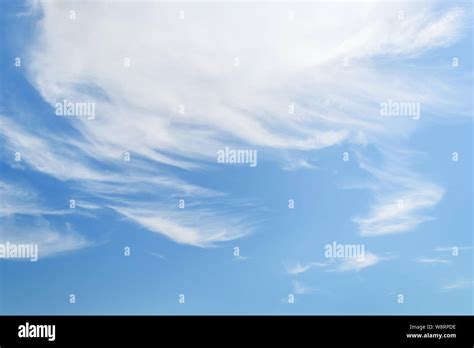 White Fluffy Cirrus Clouds In A Stratosphere Translucent Fiber Like Spindrift Clouds High In