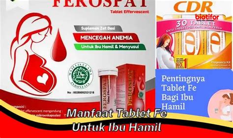 Temukan Manfaat Tablet Fe Untuk Ibu Hamil Yang Jarang Diketahui Biotifor