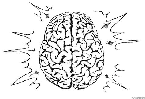 Brain Coloring Page