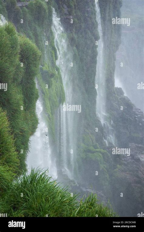 Beautiful view to atlantic rainforest waterfalls in Iguassu National ...