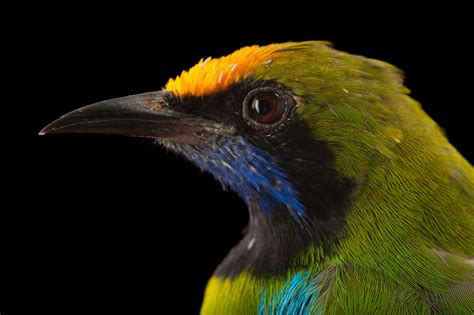 Bir053 00038 Joel Sartore