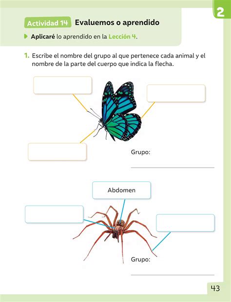 Cuaderno De Actividades Ciencias Naturales PDF