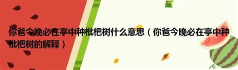 你爸今晚必在亭中種枇杷樹什么意思你爸今晚必在亭中種枇杷樹的解釋 太闲吧