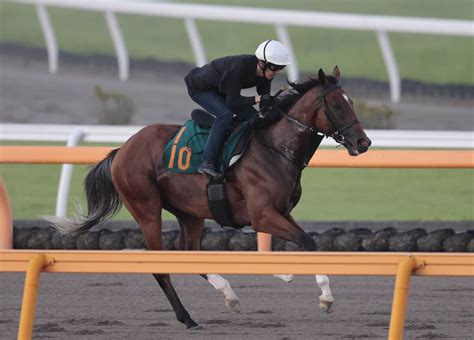 日曜中京競馬場の注目激走馬中京11r小倉2歳ステークス・g3 スポーツ報知