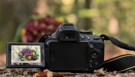 Le Migliori Fotocamere Reflex Con Display Snodabile Per Rapporto