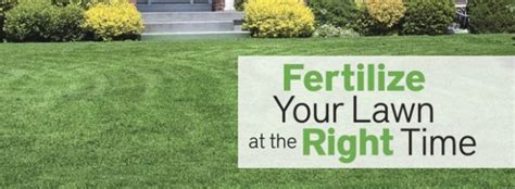 WHAT IS THE BEST FERTILIZING SCHEDULE FOR YOUR LAWN? | Goodfellas ...